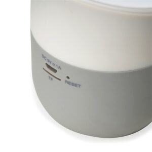 Caixa de Som com Carregador por Indução-104366 – A PARTIR DE 30 UNID. - Imagem 2